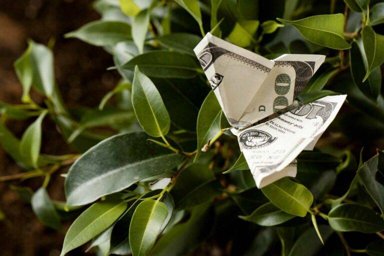Geld Origami: Verwirklichung Ihrer Wohnträume