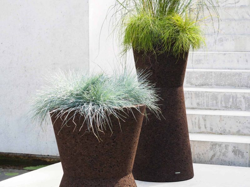 Zwei Pflanzen in Gartentöpfen aus Kork auf weißem Stein.